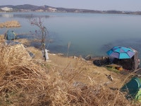 오짜붕어야ㅡ김포 민물낚시 노지조행기 > 흥지네 4짜와 수로4짜 : 낚시사랑