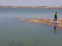 오짜붕어야ㅡ김포 민물낚시 노지조행기 > 흥지네 4짜와 수로4짜 : 낚시사랑