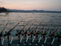 오짜붕어야ㅡ김포 민물낚시 노지조행기 > 흥지네 4짜와 수로4짜 : 낚시사랑