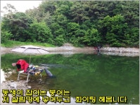 인천DJ > ◀인천DJ▶가끔 붕어보다 좋은게 있더라고요 : 낚시사랑