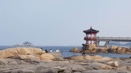 팔묜 민물낚시 노지조행기 > 낚시 댕겨온 이바구 : 낚시사랑