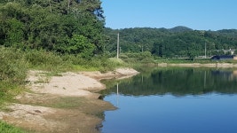 인천사랑choijaeseung > 반곡저수지 : 낚시사랑