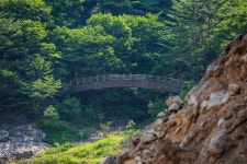 포도월척13 민물낚시 노지조행기 > 비수구미를 아시나요? (여름휴가 낚시) : 낚시사랑