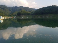 ♡지민아빠 민물낚시 노지조행기 > 충주호 좌대낚시 (문골낚시터) : 낚시사랑