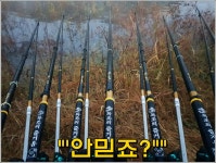 인천DJ > ◀인천DJ▶생존신고 : 낚시사랑