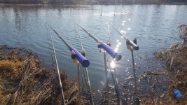 팔묜 민물낚시 노지조행기 > 낚시 댕겨온 이바구 : 낚시사랑