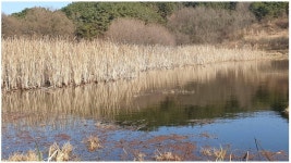 노지마스터 민물낚시 노지조행기 > 보습 정출납회 : 낚시사랑