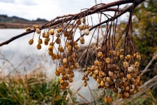 일산꾼 > 일산꾼의 피싱 다이어리-해남 마산면 오호제저수지 : 낚시사랑