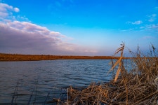 일산꾼 > 일산꾼의 피싱 다이어리-해남 연구수로 : 낚시사랑