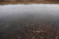 조폭양이 민물낚시 노지조행기 > 조폭양이의 붕어야 놀자~ (no.109) - 삽교호(대포리) : 낚시사랑