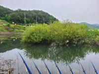 인천사랑choijaeseung > 삼거저수지 : 낚시사랑