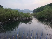 인천사랑choijaeseung > 삼거저수지 : 낚시사랑