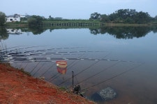 인천사랑choijaeseung > 고마저수지 : 낚시사랑