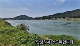 오짜붕어야. 민물낚시 노지조행기 > 죽림지///허릿급 붕어들 : 낚시사랑