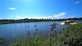 쩐프로(붕어놀이터) 민물낚시 노지조행기 > 귀곡교에서 붕어가 제일 잘 나온다는 포인트에 가다 : 낚시사랑