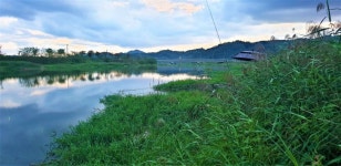 쩐프로(붕어놀이터) 민물낚시 노지조행기 > 귀곡교에서 붕어가 제일 잘 나온다는 포인트에 가다 : 낚시사랑
