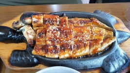 붕어의친구민동석 민물낚시 노지조행기 > 붕어낚시 꽝치기도 힘드네요 : 낚시사랑