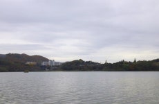 인천사랑choijaeseung > 입장저수지 : 낚시사랑