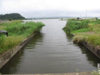 팔묜 민물낚시 노지조행기 > 낚시 댕겨온 이바구 : 낚시사랑