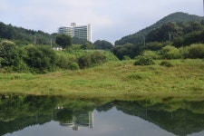 사라비아 민물낚시 노지조행기 > 사라비아의 낚시이야기 ( 충주댐 하천 비석거리 탄동) : 낚시사랑
