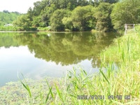 팔묜 민물낚시 노지조행기 > 낚시 댕겨온 이바구 : 낚시사랑