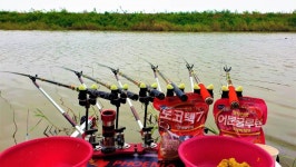 쩐프로(붕어놀이터) 민물낚시 노지조행기 > 무박 떼붕어 싹쓰리 : 낚시사랑