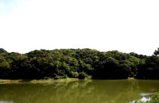 인천사랑choijaeseung > 남풍지 : 낚시사랑