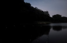 인천사랑choijaeseung > 남풍지 : 낚시사랑