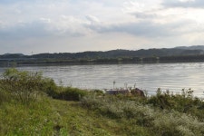 사라비아 민물낚시 노지조행기 > 사라비아의 낚시이야기 (남한강 ) : 낚시사랑