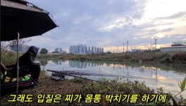 오짜붕어야. 민물낚시 노지조행기 > 수도권 놀이터 대물움직임 : 낚시사랑