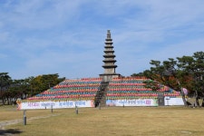 사라비아 민물낚시 노지조행기 > 사라비아의 낚시이야기 (조정지댐 입석학교앞) : 낚시사랑