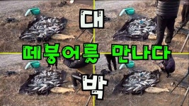 포도월척13 민물낚시 노지조행기 > 두번째 헉 관고기가 나오면 월척 겨울에는 수로권입니다 : 낚시사랑
