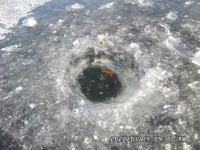 팔묜 민물낚시 노지조행기 > 낚시 댕겨온 이바구 : 낚시사랑