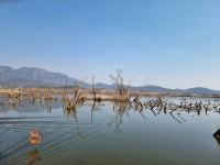필드붕어 민물낚시 노지조행기 > 독동수로 & 낚시 박람회 다녀와서 : 낚시사랑