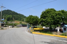 사라비아 민물낚시 노지조행기 > 사라비아의 낚시이야기 ( 충주댐 하천리탄동) : 낚시사랑