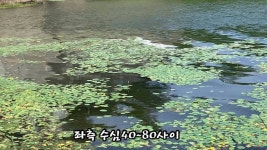 대포붕어Tv 민물낚시 노지조행기 > 수초 대물낚시의 정석,수초 제거는 이렇게 하면 대물을 잡을수 있다! : 낚시사랑