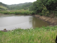 팔묜 민물낚시 노지조행기 > 낚시 댕겨온 이바구 : 낚시사랑