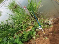 민물수영 민물낚시 노지조행기 > 주덕 수로 담구면 붕어 나와요 : 낚시사랑