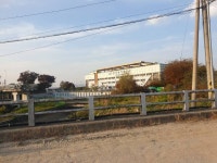 푸른낚시클럽. .나여 민물낚시 노지조행기 > 충북 괴산권 조항소식 : 낚시사랑