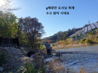 민물수영 민물낚시 노지조행기 > 영천 효동 지 붕어 모집 했습니다 ^^ 붕어 잘 나옵니다 : 낚시사랑