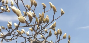 팔묜 민물낚시 노지조행기 > 낚시 댕겨온 이바구 : 낚시사랑