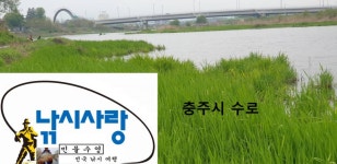 민물수영 민물낚시 노지조행기 > 가면서 오면서 들리는 충주 수로 (참새 방 앗 간) : 낚시사랑