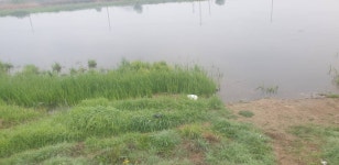 민물수영 민물낚시 노지조행기 > 가면서 오면서 들리는 충주 수로 (참새 방 앗 간) : 낚시사랑