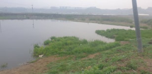 민물수영 민물낚시 노지조행기 > 가면서 오면서 들리는 충주 수로 (참새 방 앗 간) : 낚시사랑