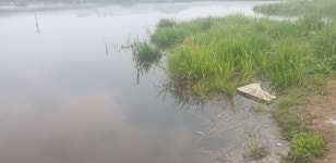 민물수영 민물낚시 노지조행기 > 가면서 오면서 들리는 충주 수로 (참새 방 앗 간) : 낚시사랑