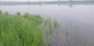 민물수영 민물낚시 노지조행기 > 가면서 오면서 들리는 충주 수로 (참새 방 앗 간) : 낚시사랑