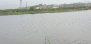 민물수영 민물낚시 노지조행기 > 가면서 오면서 들리는 충주 수로 (참새 방 앗 간) : 낚시사랑