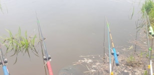 민물수영 민물낚시 노지조행기 > 가면서 오면서 들리는 충주 수로 (참새 방 앗 간) : 낚시사랑