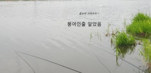 민물수영 민물낚시 노지조행기 > 가면서 오면서 들리는 충주 수로 (참새 방 앗 간) : 낚시사랑
