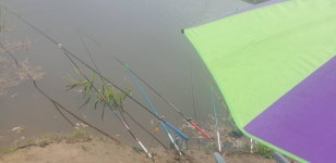 민물수영 민물낚시 노지조행기 > 가면서 오면서 들리는 충주 수로 (참새 방 앗 간) : 낚시사랑